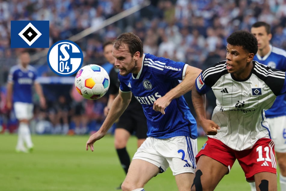 Acht Tore, Rote Karte! HSV gewinnt komplett verrückte Partie gegen Schalke