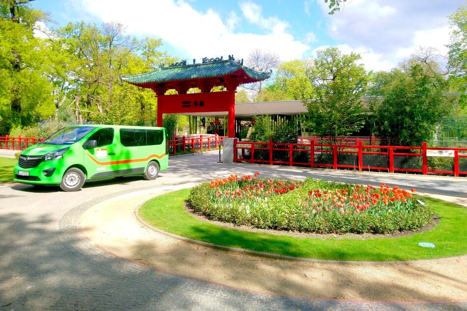 "Panda Garden" im Berliner Zoo