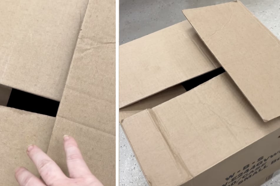 Dieser Karton war neben einem Müllcontainer abgestellt worden.