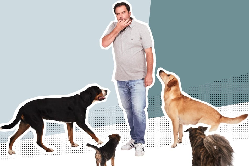 Martin Rütter (55) ist ein deutscher Hundetrainer und unter anderem durch die Sendung TV-Sendung "Der Hundeprofi" bekannt.