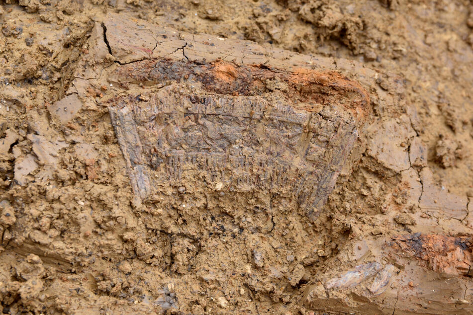 Archäologen machen Luxus-Funde in Gräbern in Deiningen
