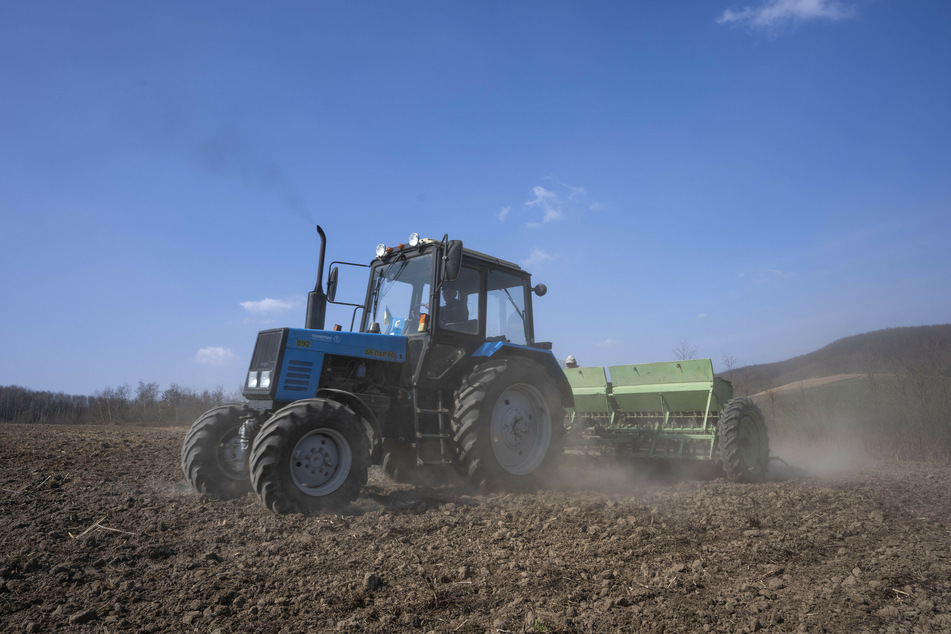 Arbeiter pflügen ein Weizenfeld in Husakiw im Westen der Ukraine.