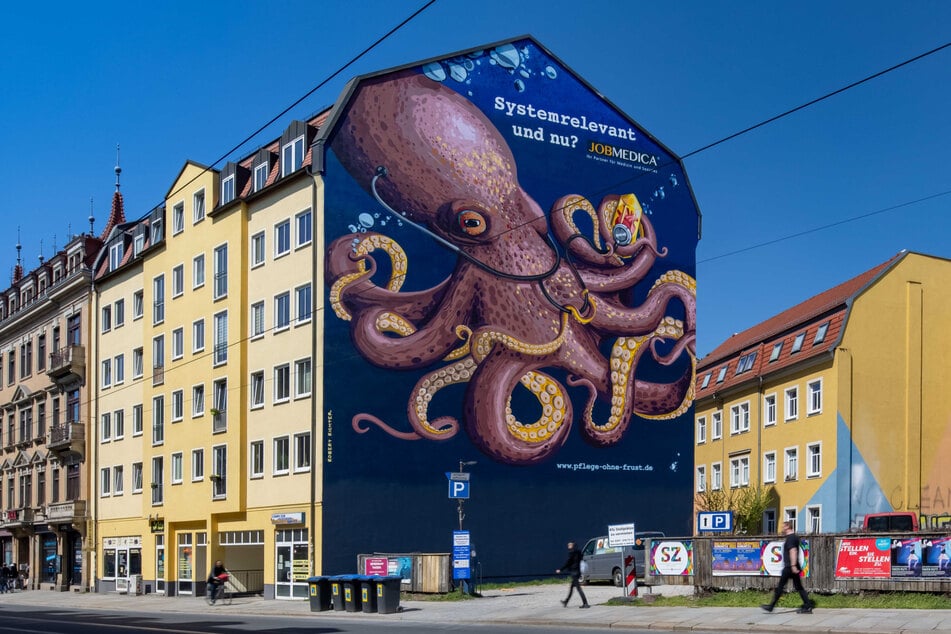 Wie viele Arme hat eigentlich ein Oktopus? Das kann man an dieser Hauswand in der Bautzner Straße nun abzählen. (In der Natur sind es acht bis zehn, je nach Art.)