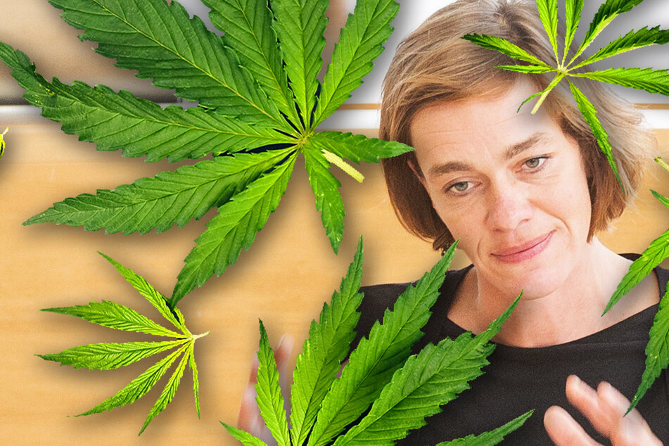 Cannabis-Legalisierung: Linke fordern ein Konzept für Sachsen