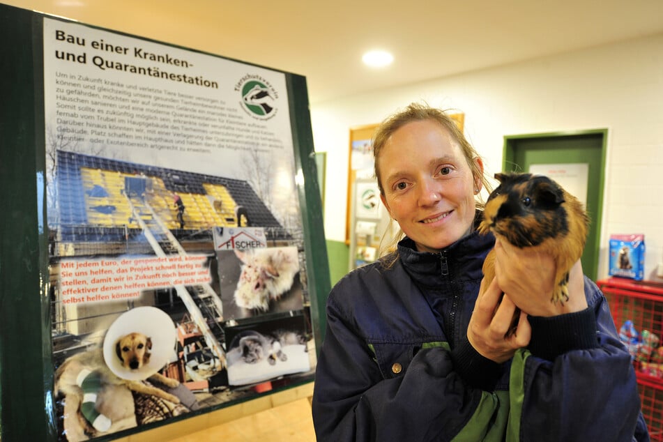 Die Stadt Chemnitz verweist auf das Tierheim, um verletzte Vögel abzugeben, doch Tierheimleiterin Anne Schilling (37) macht klar: Es gibt nicht genug Kapazitäten.