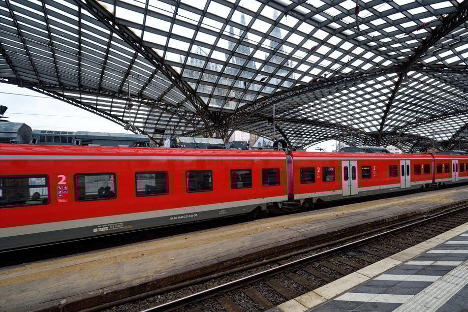 Nachdem eine Zeugin die Schalentiere entdeckt hatte, stoppte die Bundespolizei die S-Bahn am Kölner Hauptbahnhof. (Symbolfoto)