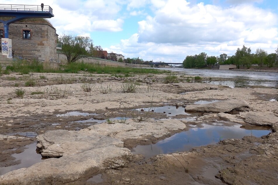 Elbe trocknet immer weiter aus