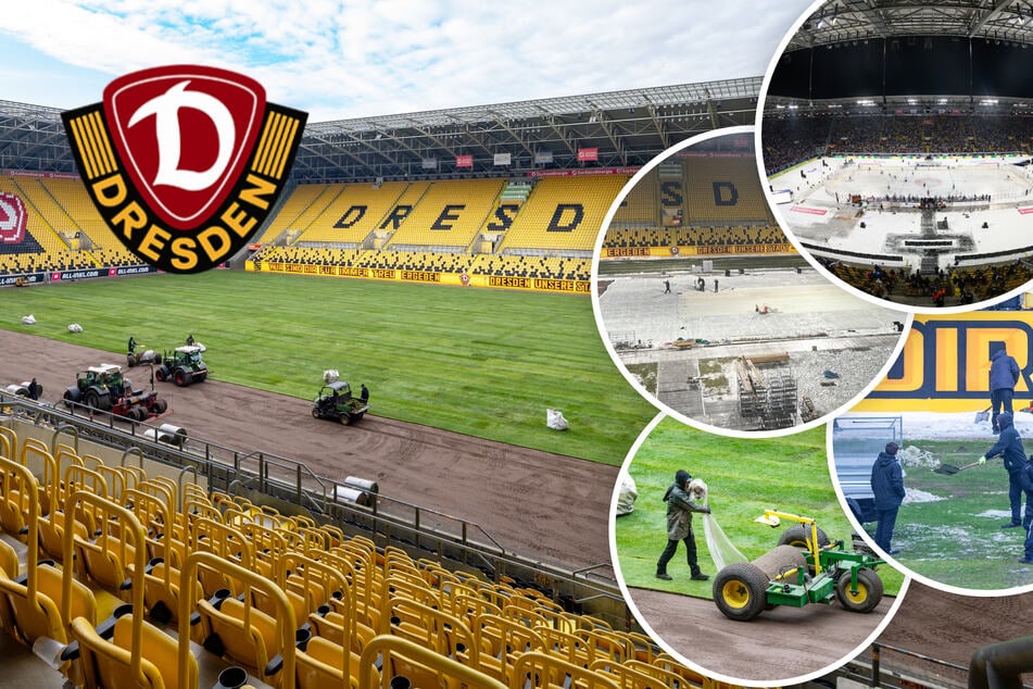 "Größte Herausforderung der letzten 15 Jahre": Dynamo-Stadion in einer Woche umgebaut!