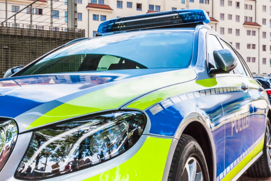Laut Polizei wurden die Katzen irgendwann zwischen dem 1. und dem 3. Juni auf dem Parkplatz zurückgelassen. (Symbolbild)