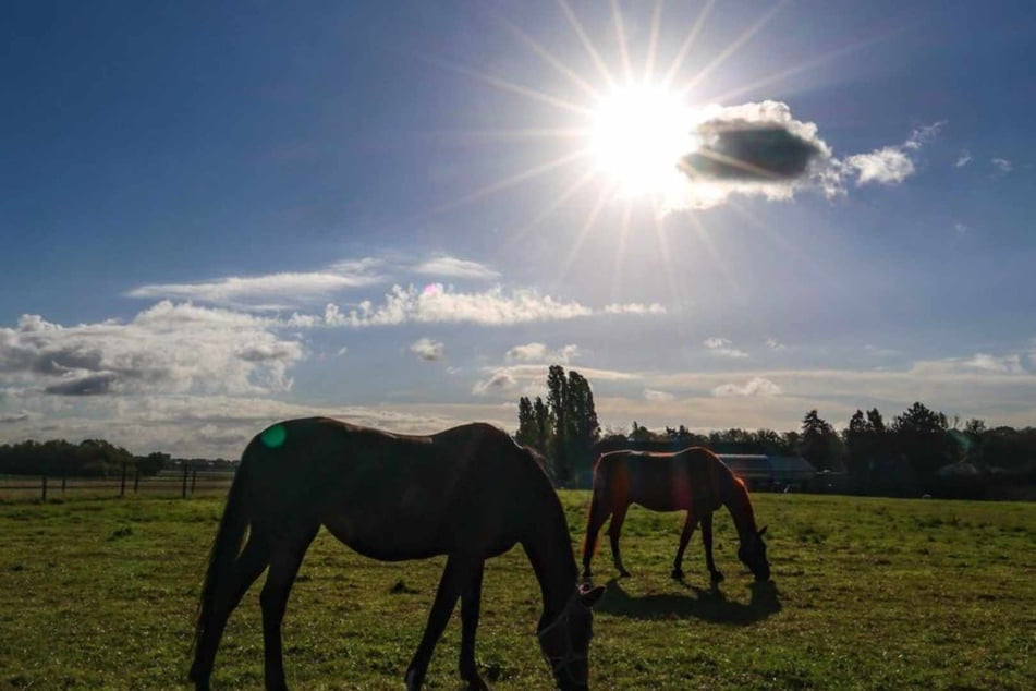 Noch einmal richtig warm: NRW steht sonniges Wochenende bevor