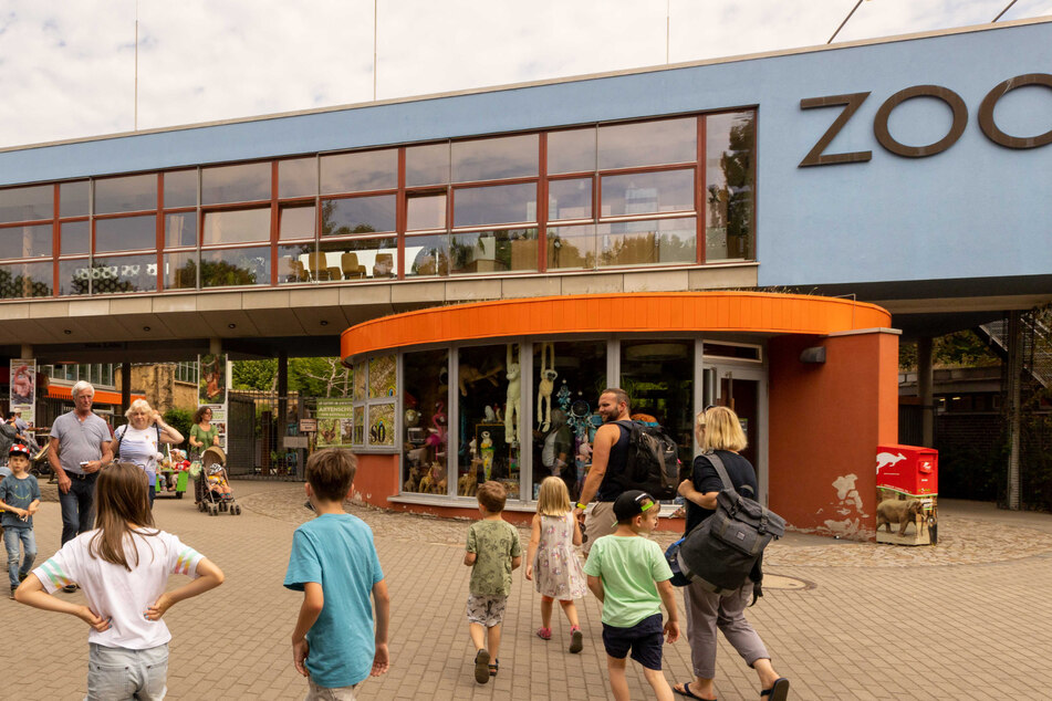 Wegen Kita-Warnstreik: Dresdner Zoo am Mittwoch mit besonderer Aktion für Kinder!