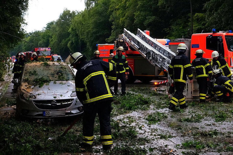 Auf der Bergedorfer Straße stürzte ein Baum auf ein Auto und schloss die beiden Insassen ein.