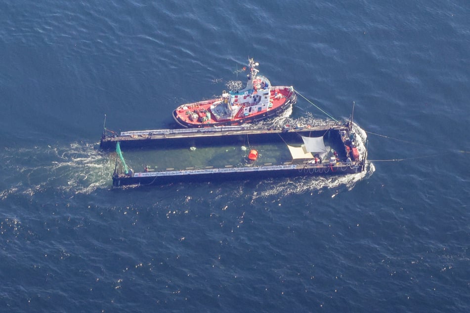 Nach Ansicht des Experten war der Transport in der Barge eine Odyssee für den Wal.