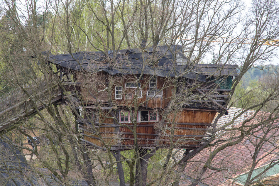 Na, das ist doch mal ein Baumhaus.
