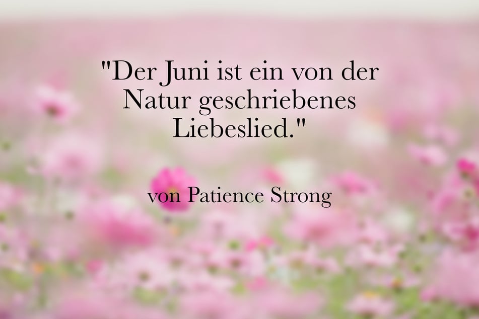 Ein schönes Zitat zum Juni ist das von Patience Strong.