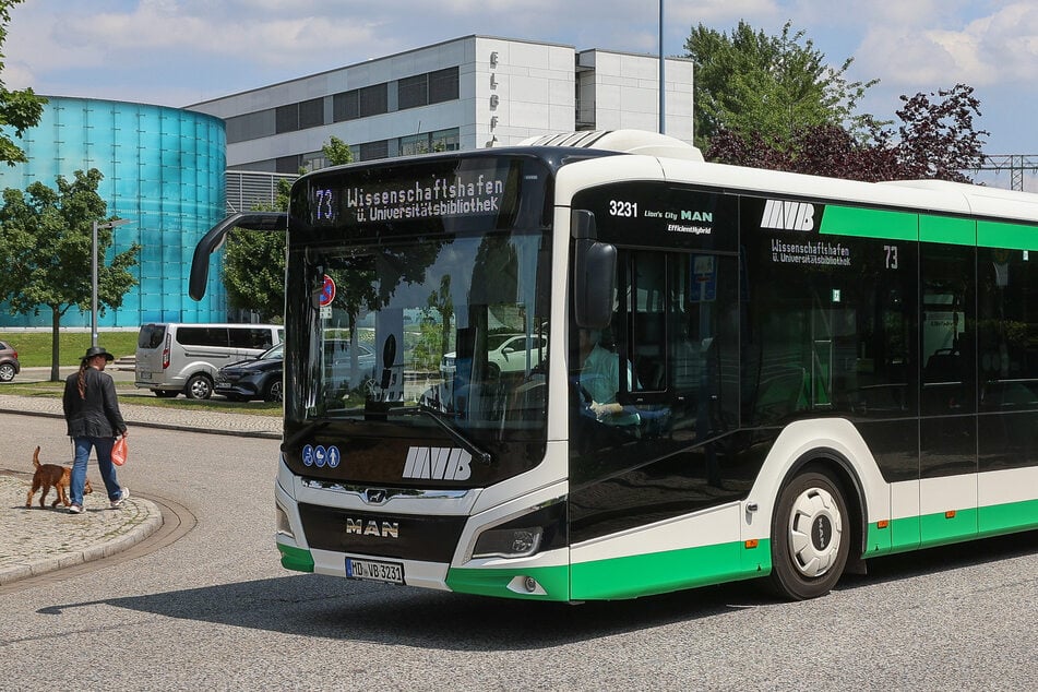 Vor allem Morgens spüren die Magdeburger, dass viele Busse fehlen. (Archivbild)
