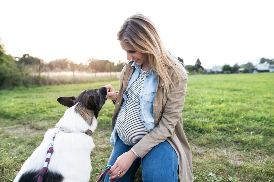 Owners will be more susceptible to diseases from dogs that eat raw meat, so proceed with caution.