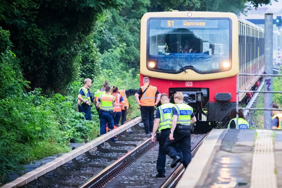 Berlin: S-Bahn prallt bei Gewitter gegen Baum: Hundert Fahrgäste gestrandet