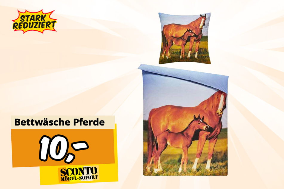 Bettwäsche Pferde