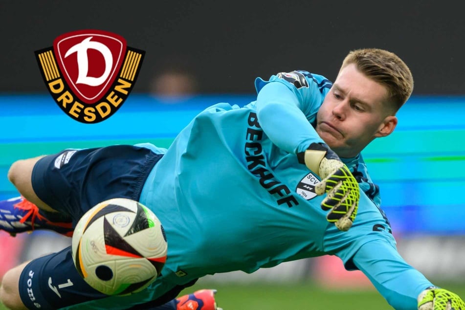 Dynamo-Dresden-Blog: Grill-Ersatz in Sicht? SGD soll Angebot für diesen Torwart abgegeben haben