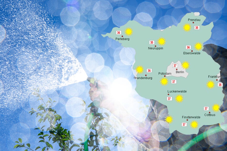Fast 40 Grad am Mittwoch! Hitzewarnung für Berlin und Brandenburg