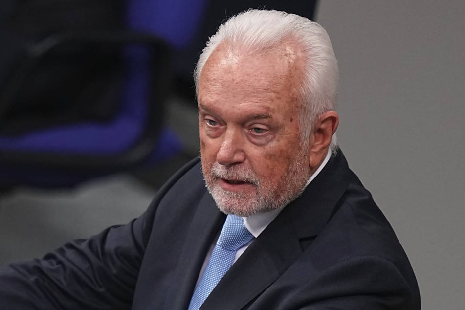 Der damalige Bundestagsvizepräsident Wolfgang Kubicki (73, FDP) hatte eine Strafverfolgung von Hotz gefordert.