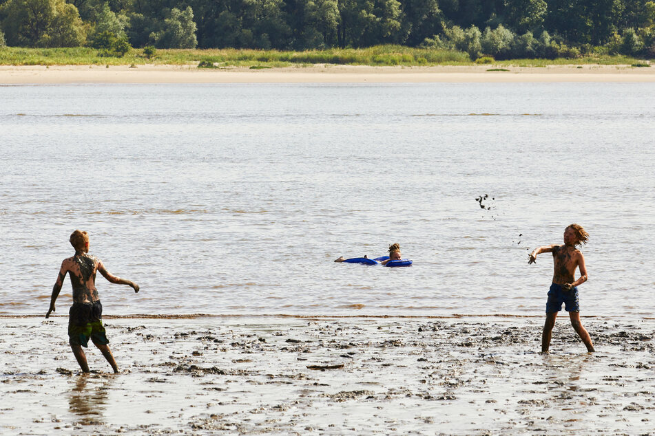 Kinder spielen in der Elbe am Falkensteiner Ufer.