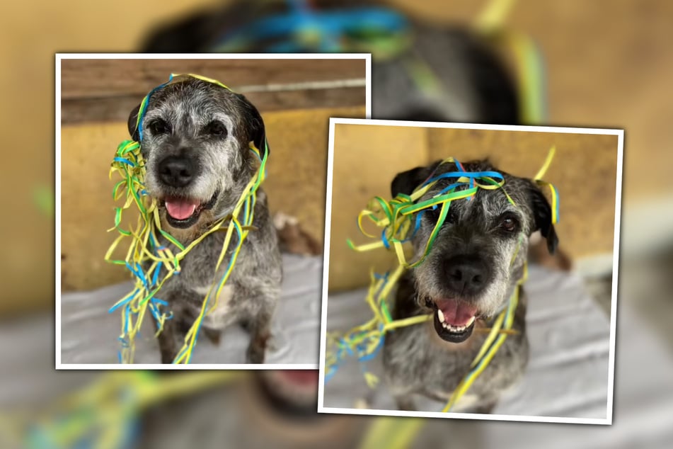 Der achtjährige Hagred würde seinen nächsten Geburtstag gern in Familie feiern.