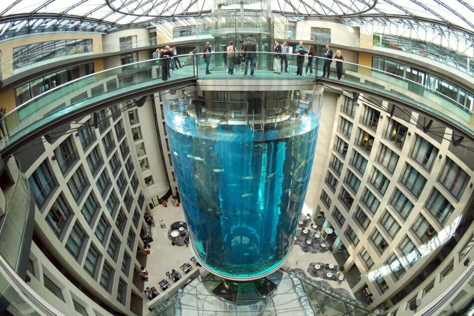 In dem 16 Meter hohen Aquarium schwammen rund 1500 Fische.