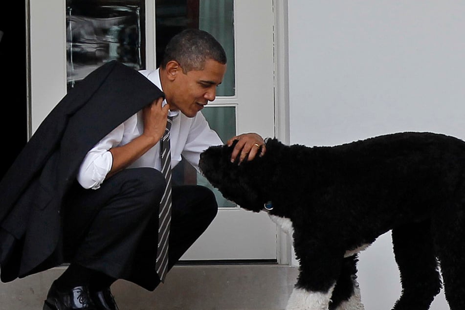 Barack Obama trauert um Familienhund Bo: "Ein wahrer Freund"