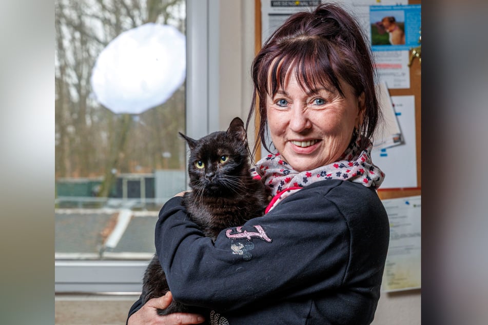 Der verschmuste Kater Jonathan (4) lässt es sich auf den Armen von Regina Barthel-Marr (64) gut gehen.