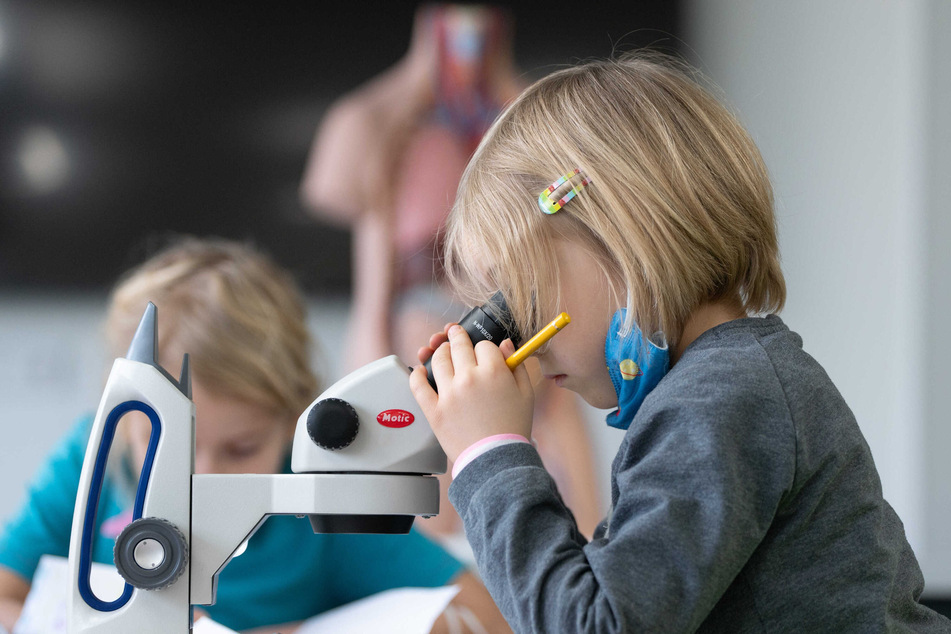 Sachsen steht auch 2025 wieder auf Platz eins des "Bildungsmonitors" der Initiative Neue Soziale Marktwirtschaft (INSM). Der Freistaat hält den Spitzenplatz bereits seit Jahren.