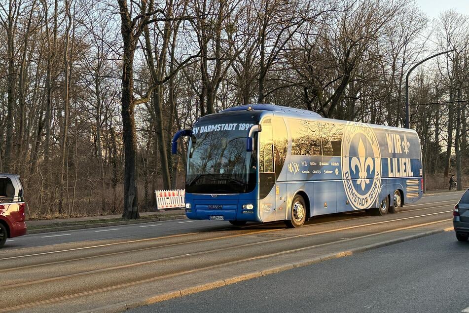 Die Lilien sind als Erstes am EHS angekommen.