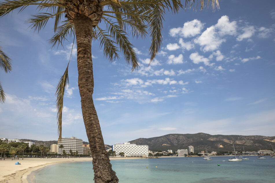 Strand, Sonne und frische Luft in Mallorca! Was Reisende im beliebten Urlaubsort erwartet, verrät ein neues Tool auf den ersten Blick.