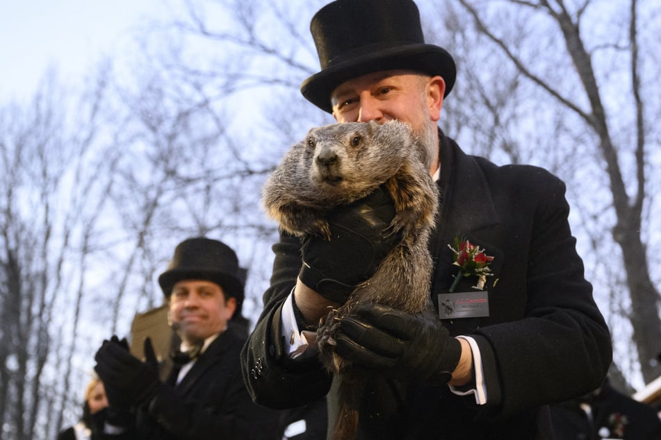Tatsächlich lag Murmeltier "Punxsutawney Phil" in den letzten zehn Jahren nur dreimal richtig. Aber auch Murmeltiere können sich mal irren.