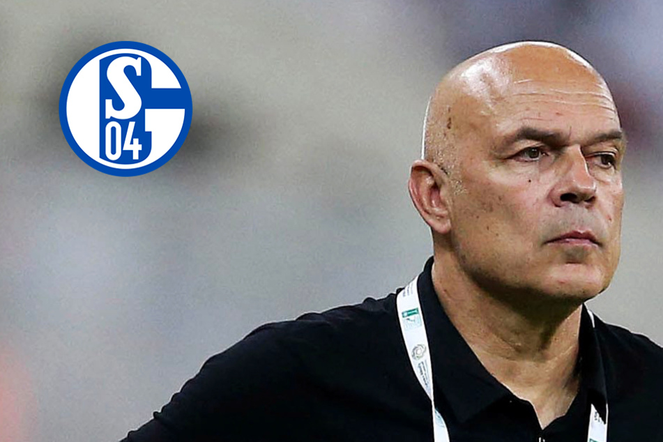 Schalke-Aufsichtsrat ebnet den Weg für Verpflichtung von neuem Coach!