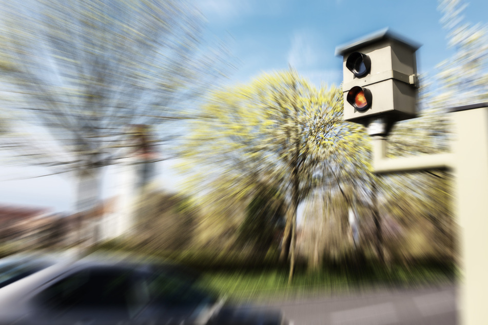 Ein Blitzerfoto brachte einem Hundebesitzer Ärger ein. Das Bild zeigte seinen Vierbeiner auf dem Fahrersitz eines fahrenden Autos. (Symbolbild)