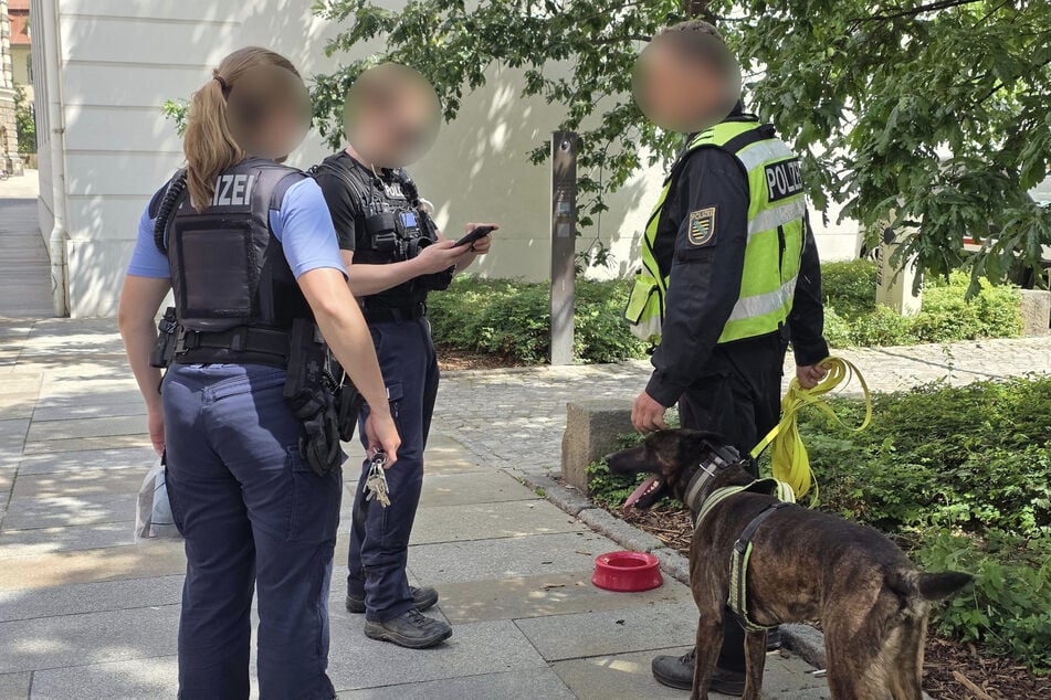 Ein Spürhund sollte das Messer finden.
