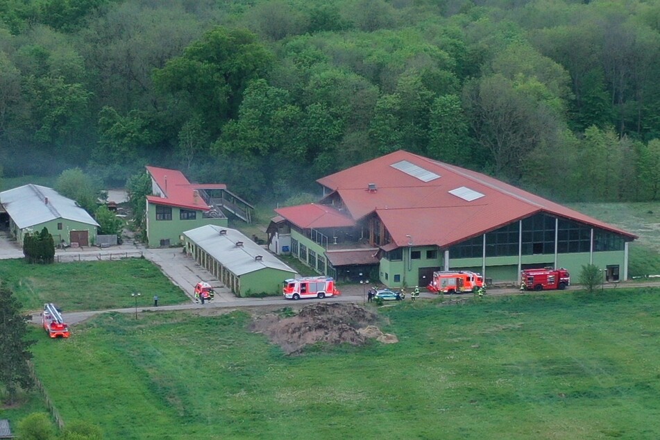 Der ehemalige Pferdehof war schon im Februar Ziel von Brandstiftern.