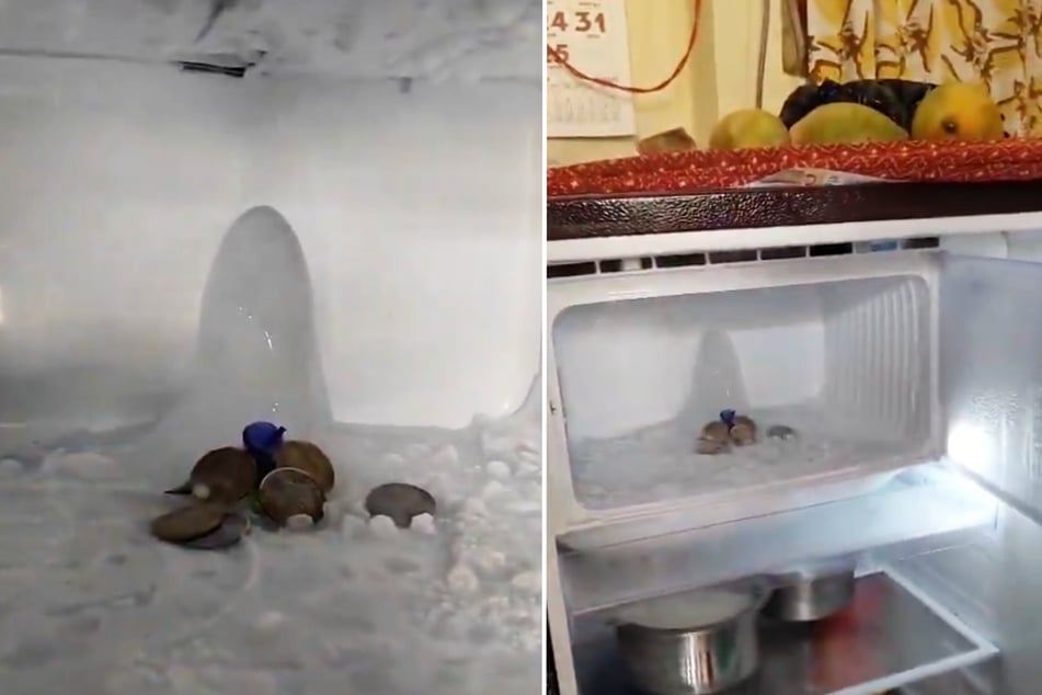 Im Kühlschrank eines Inders wurde dieser kleine Eisberg entdeckt. Gläubige sehen darin ein göttliches Zeichen.