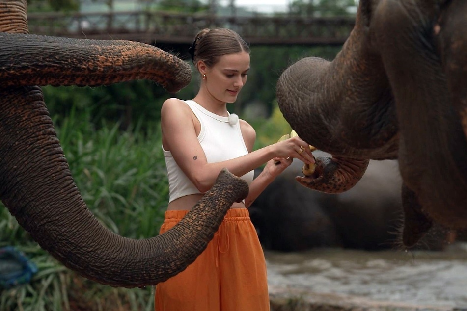 Steht ja eigentlich eher nicht auf Rüssel, Elefanten sind aber okay: "Princess Charming" Madleen (23).