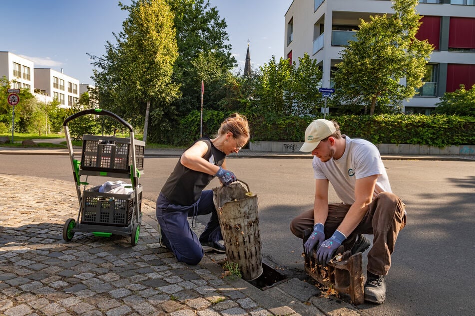 Gullys und Abwasserschächte werden mit einem biologischen Wirkstoff behandelt.
