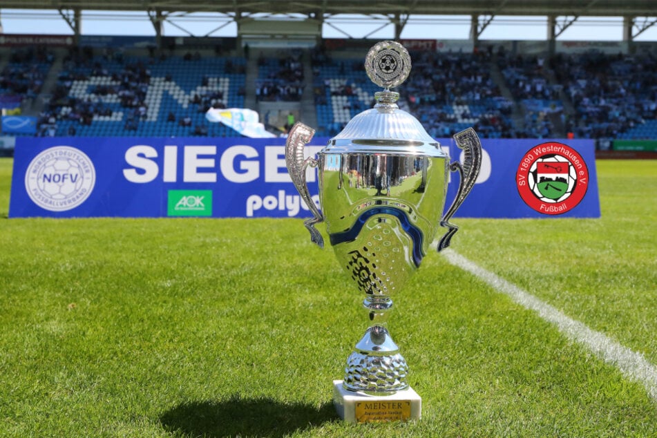 Der Aufstieg in die semiprofessionelle NOFV-Oberliga Süd war im vergangenen Sommer für den SV Westerhausen ein riesiger Erfolg. (Bildmontage)