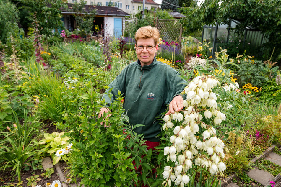 Viel Herzblut haben Grit Seifert (55) und die anderen Vereinsmitglieder in ihre Gärten gesteckt.