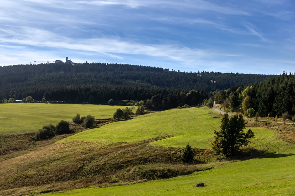 Diese Bergwiese am Fichtelberg soll mit Ferienhäusern bebaut werden.