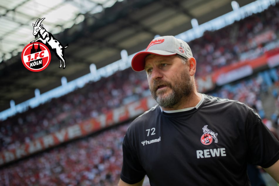 1. FC Köln in Nizza ohne Baumgart an der Linie: "Fordert jetzt nicht, dass ich andauernd weg bin"