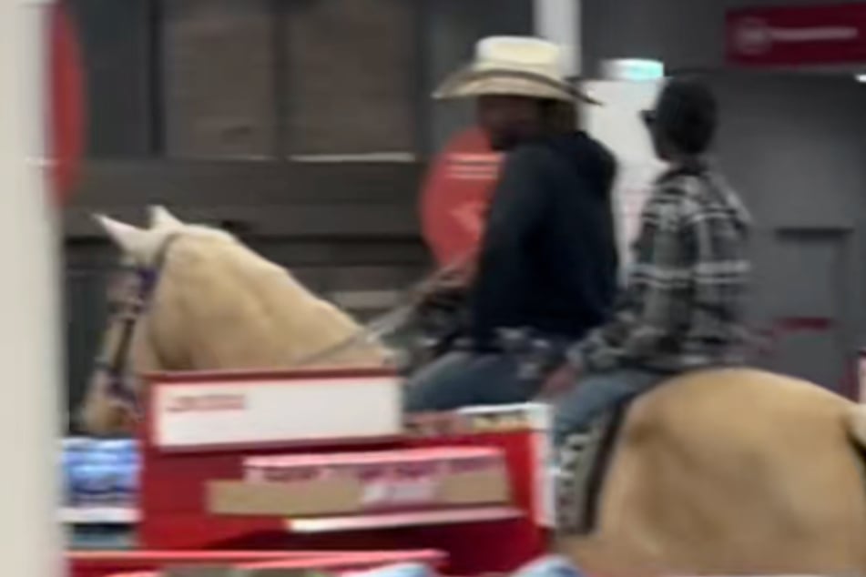 El video generó opiniones divididas entre muchos usuarios de TikTok.