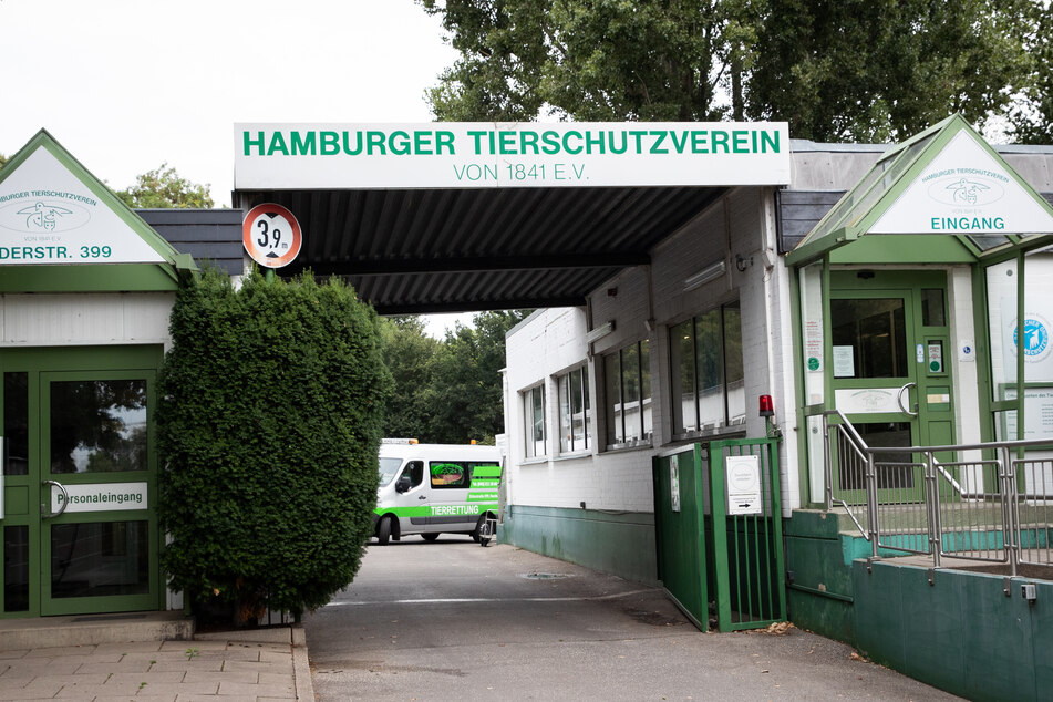 Das Hamburger Tierheim an der Süderstraße: Der Tierschutzverein will seinen Schützlingen eine schöne Weihnachtszeit bescheren.