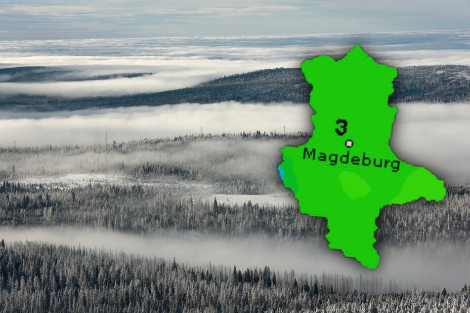 Im Harz soll es diese Woche immer wieder schneien. (Symbolfoto)