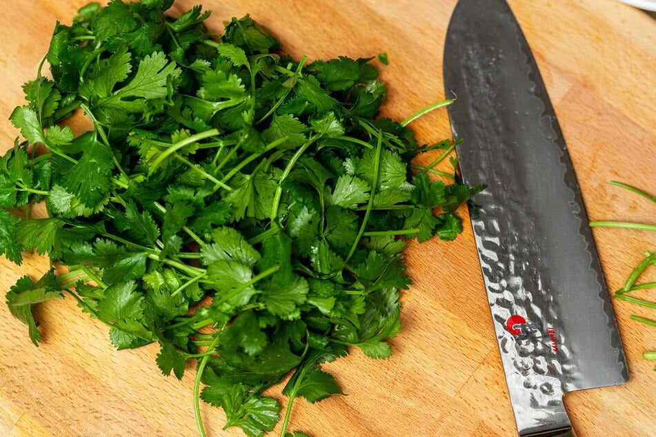 Mixing finely chopped fresh herbs like parsley, peppermint, and basil in dog food helps to fight bad breath.